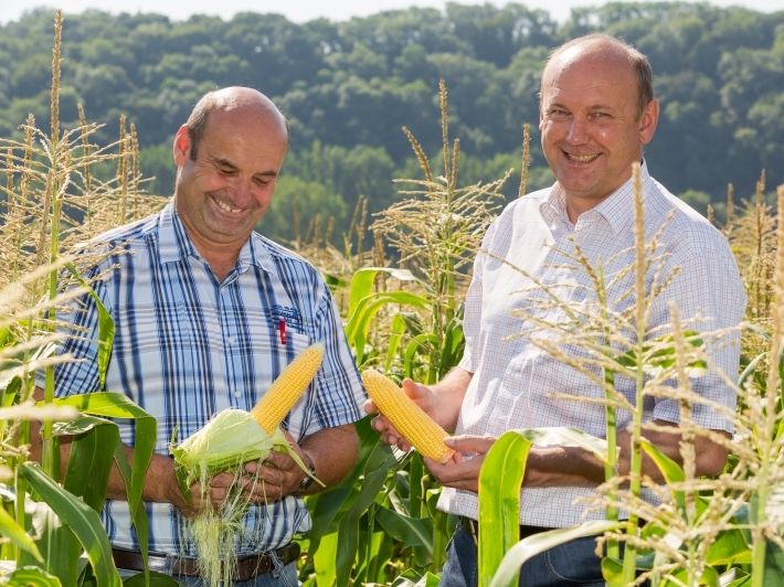 Gartenfrisch Jung GmbH