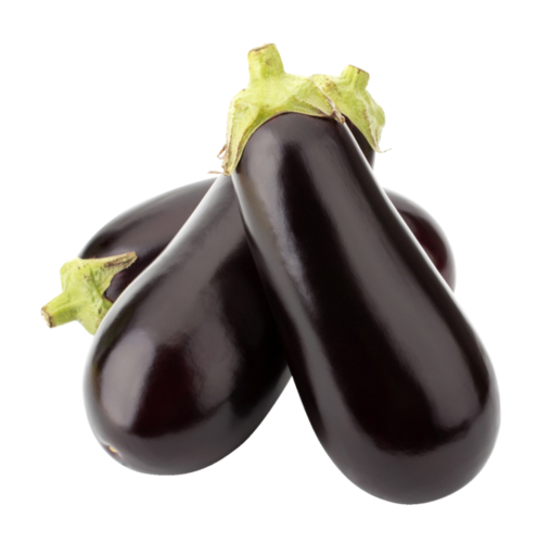 Aubergine