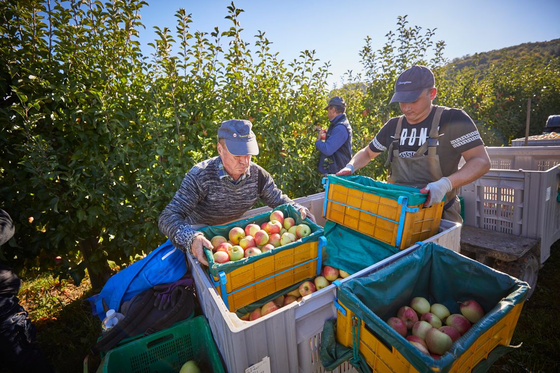 Gut Bodman Ledergerber Obst GbR