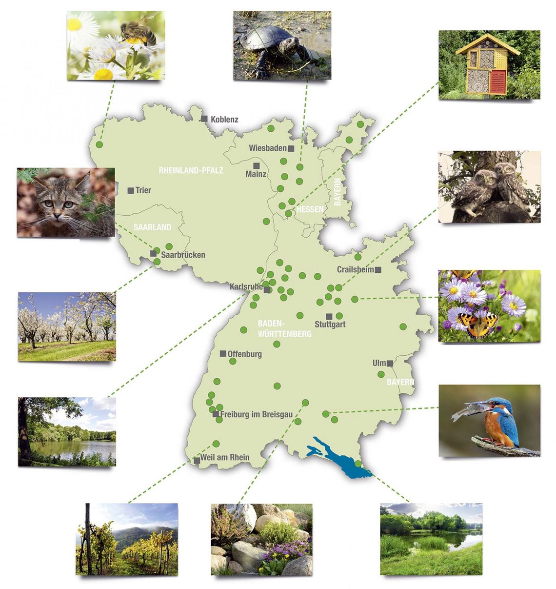 Projekte der Aktion Unsere Heimat und Natur
