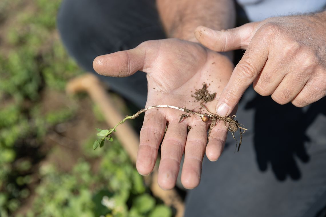 Bio-Familie-Rheinhessen eG