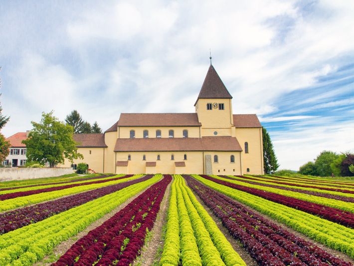 Kirche auf der Insel Reichenau mit Salatfeld