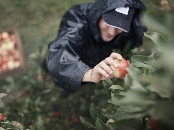 Obst vom Bodensee Vertriebsgesellschaft mbH