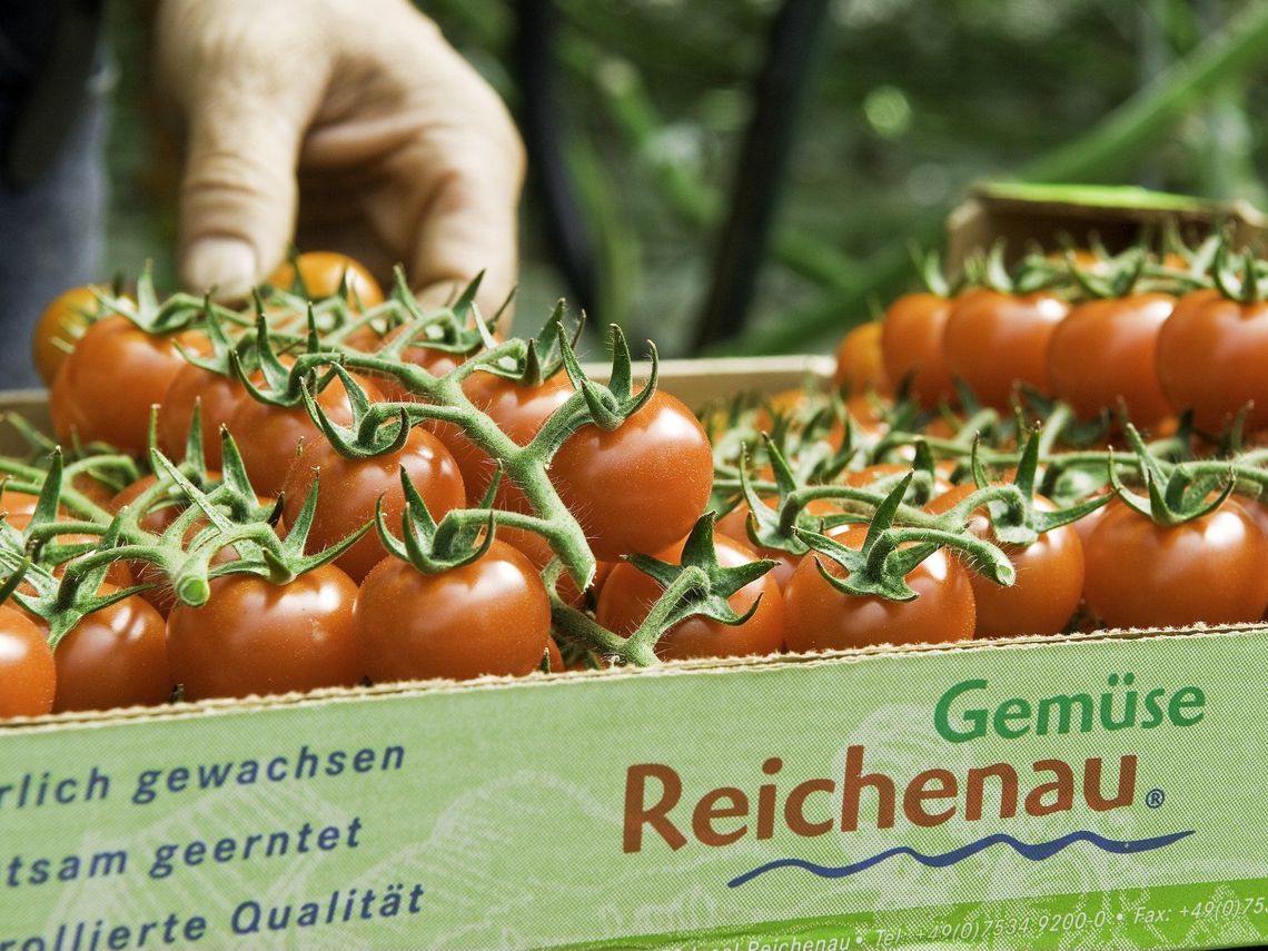 Reichenauer Gärtnersiedlung Aach