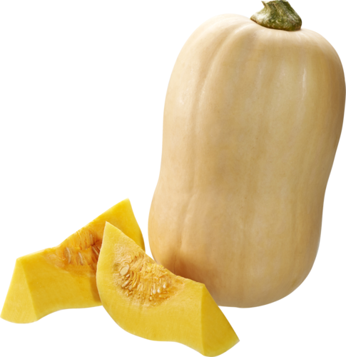 Butternut Kürbis