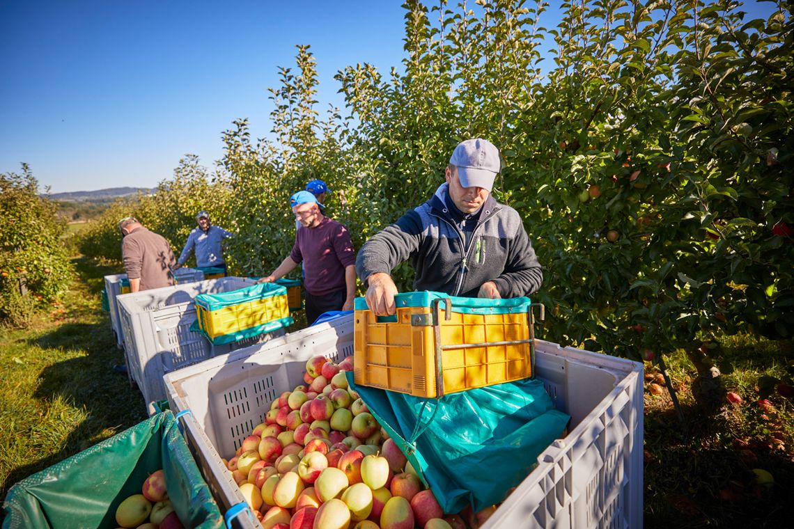 Gut Bodman Ledergerber Obst GbR