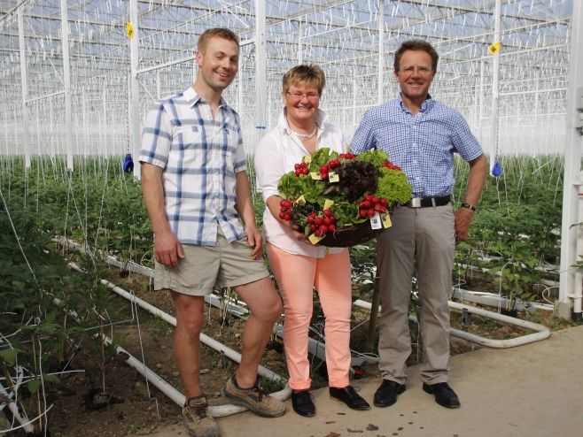 Reichenauer Gärtnersiedlung Aach