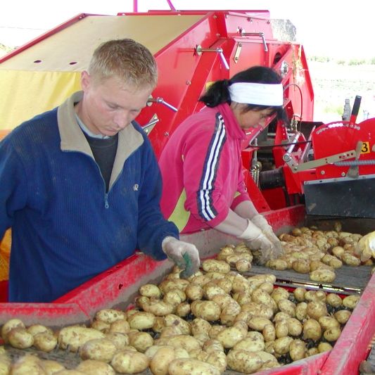 Kartoffel-Kuhn GmbH