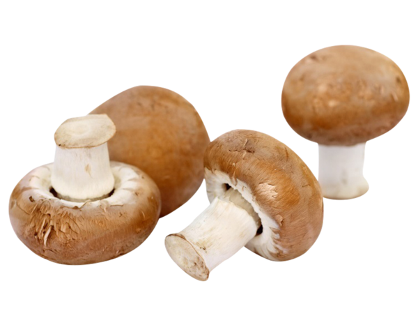 Champignons