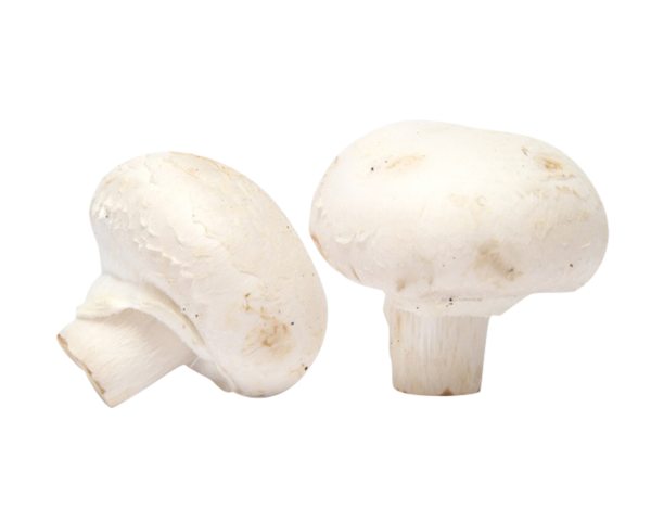 Champignons