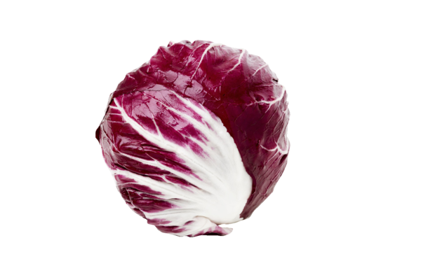 Radicchio