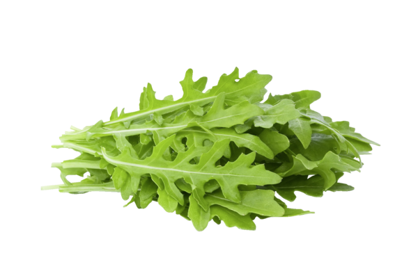 Rucola