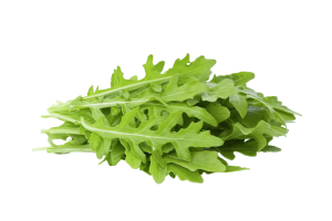 Rucola