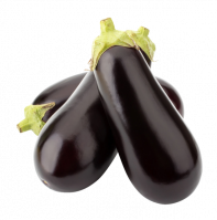 Aubergine