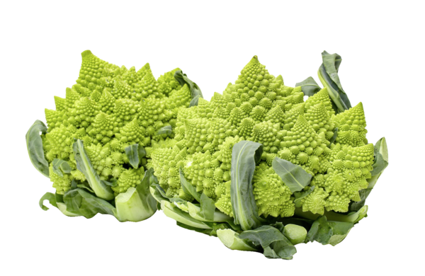 Romanesco