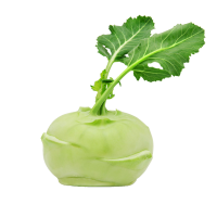 Kohlrabi