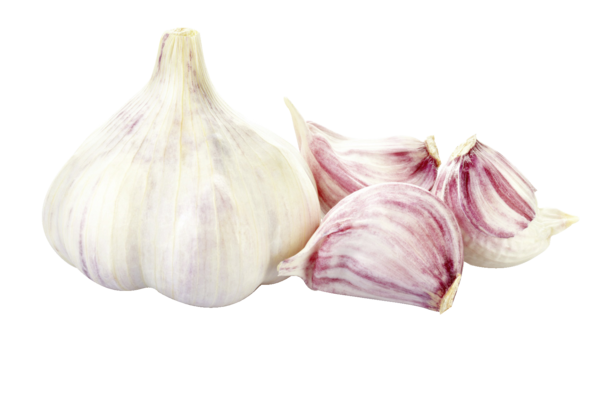 Knoblauch