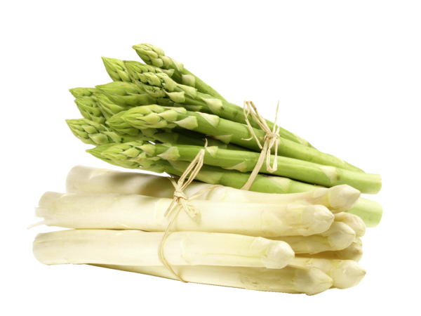 Spargel