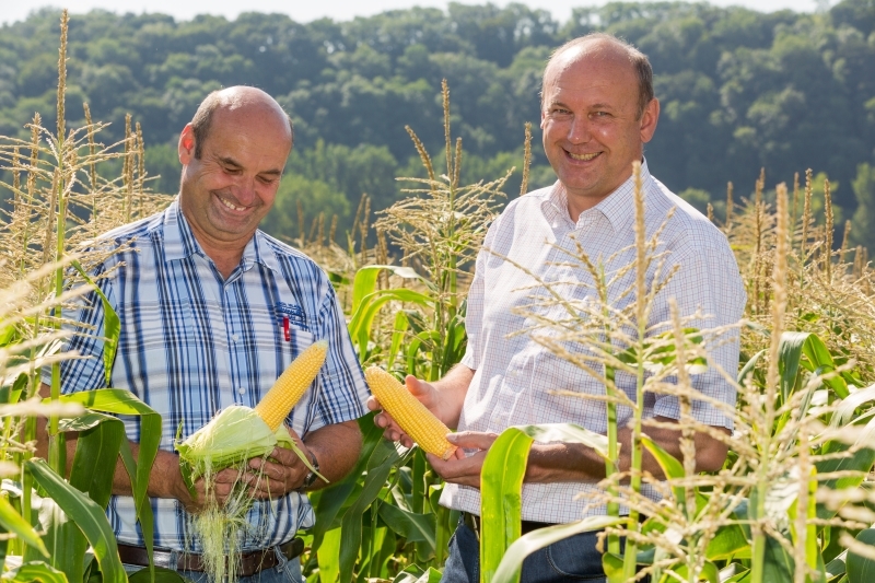 Gartenfrisch Jung GmbH