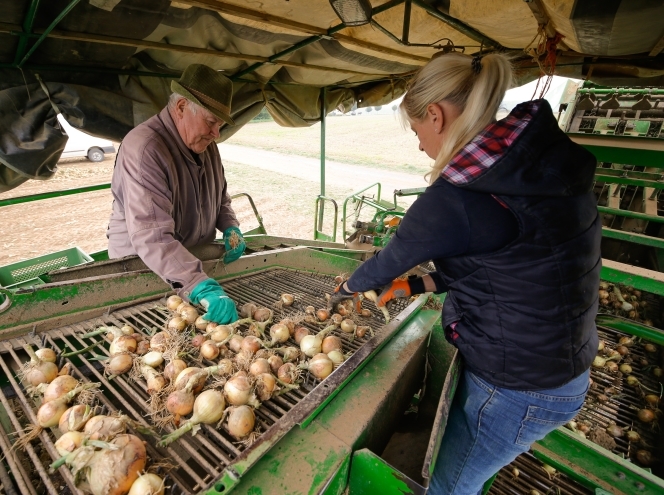 Bioland Obst und Gemüse Erzeugergemeinschaft GmbH & Co. KG