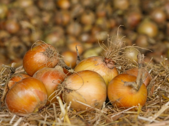 Bioland Obst und Gemüse Erzeugergemeinschaft GmbH & Co. KG