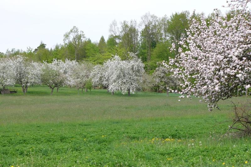 W. Streker Natursaft GmbH