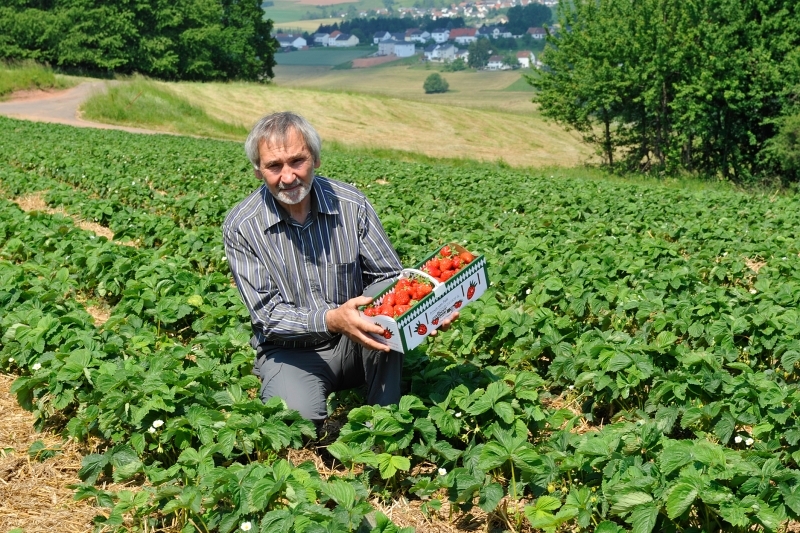 Erdbeerland Hans-Georg Ernst