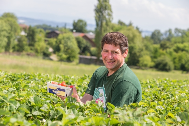 Der Obstbauer Rolf Haller