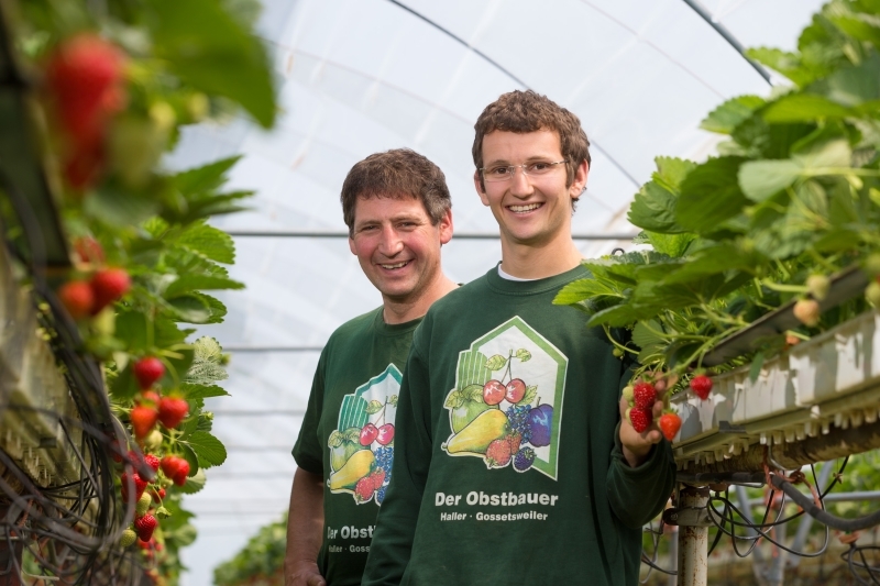 Der Obstbauer Rolf Haller