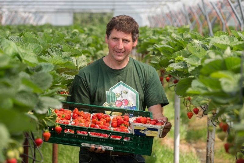 Der Obstbauer Rolf Haller