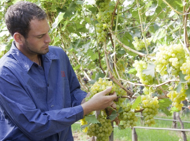 Frischeprodukte Bauerle GbR