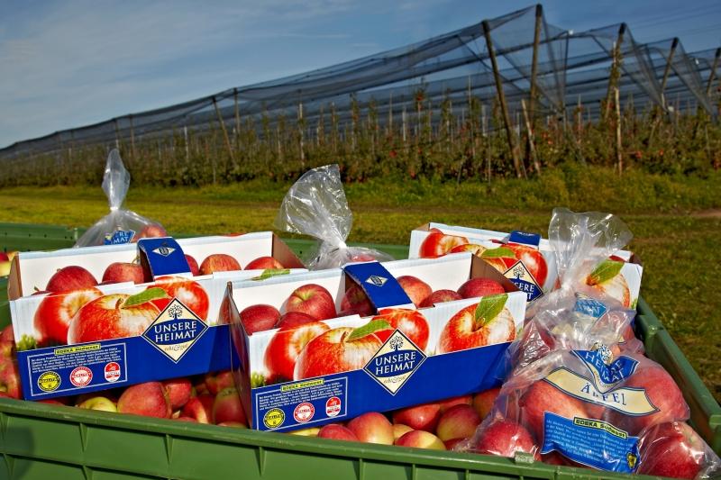 42+ Obst Vom Gartenanlage Kaufen, Du möchtest dein obst selbst