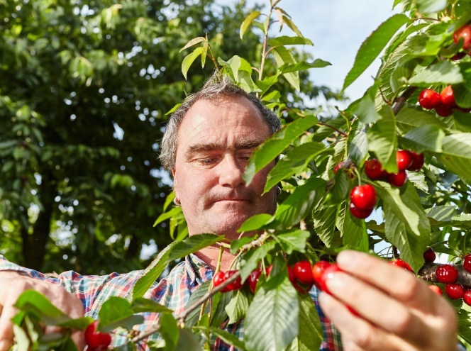 Verkaufsgemeinschaft SALEM-Frucht GmbH & Co. KG