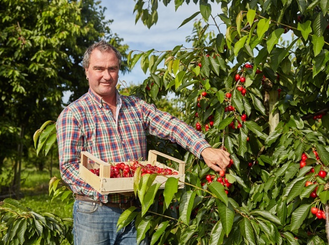 Verkaufsgemeinschaft SALEM-Frucht GmbH & Co. KG