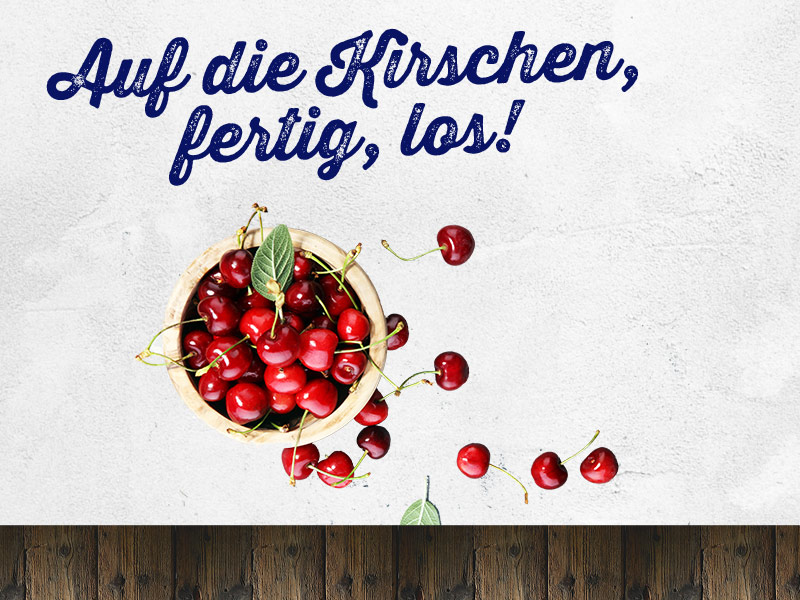 Auf die Kirschen, fertig, los!