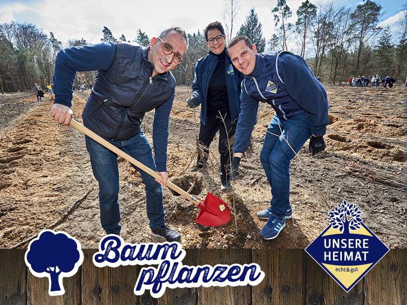 Baum pflanzen mit der Baumpflanzkarte von Edeka Südwest